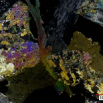 Cross polarized microscope image of a eudialyte nepheline syenite