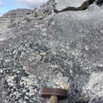 Rinkite-bearing pegmatite in the margin of the Ilimaussaq complex