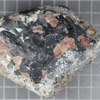 Pegmatite with red crystals of eudialyte in black sodic-amphibole.